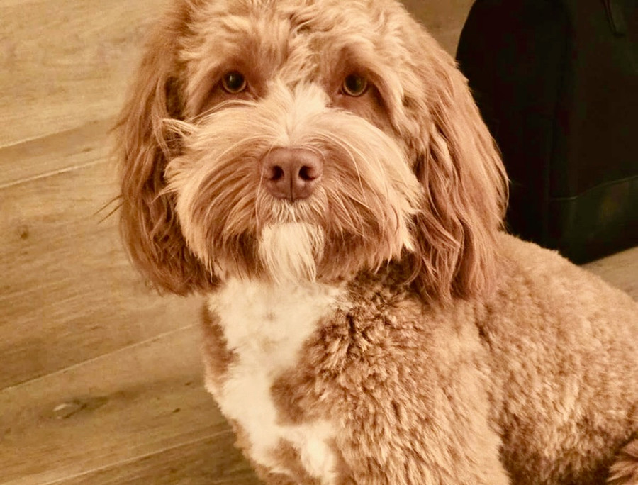 Murphy